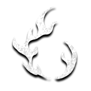 faerie fire drizzt move dark alliance wiki guide 180px